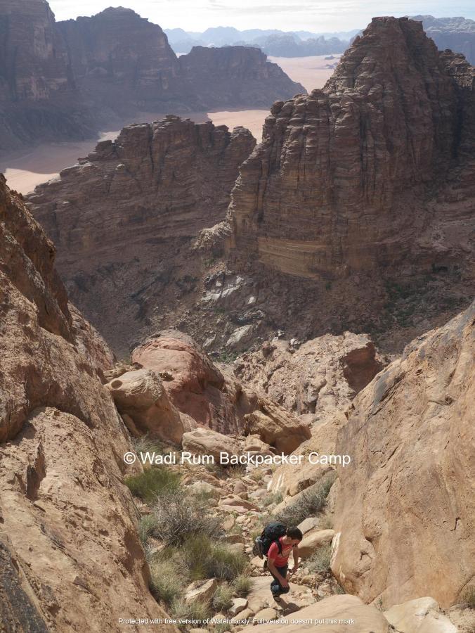 Wadi Rum Backpacker Camp Екстер'єр фото